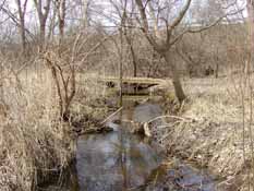Traver Creek Sample Collection Site, Olson Park, 10 April 2010.